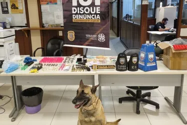 Imagem ilustrativa da imagem Suspeitos de tráfico de drogas são presos em operação no Sul do ES
