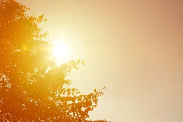 Imagem ilustrativa da imagem Teremos mais ondas de calor extremo em outubro? Confira previsão para todo o país