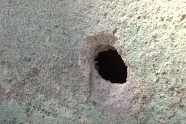 Imagem ilustrativa da imagem Tiroteio na Serra: jovem morre e adolescente é baleada debaixo da cama
