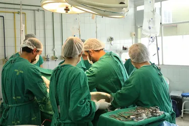 Imagem ilustrativa da imagem Transplante de órgãos cresce 11,6% no Brasil, diz Ministério da Saúde