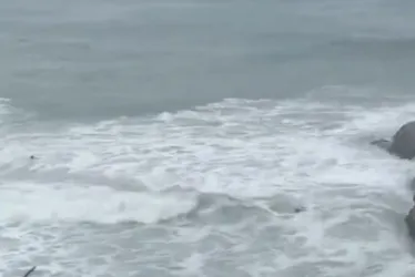 Imagem ilustrativa da imagem VÍDEO | Turistas são levados por onda ao fazerem selfie em praia do Rio de Janeiro