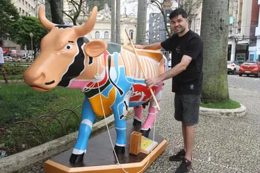 Imagem ilustrativa da imagem Vacas “invadem” as ruas da Vitória e Vila Velha em projeto de arte