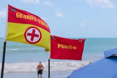 Imagem ilustrativa da imagem Veja 8 dicas para se proteger de tubarões durante as "marés mortas" no feriadão