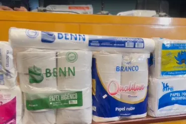 Imagem ilustrativa da imagem Veja quais são as marcas de papel higiênico investigadas por fraude no ES