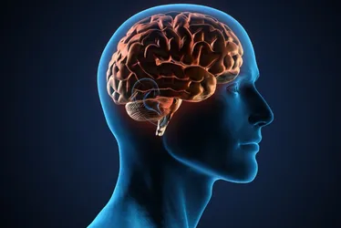 Imagem ilustrativa da imagem Voluntários no Estado testam remédio contra Alzheimer e Parkinson