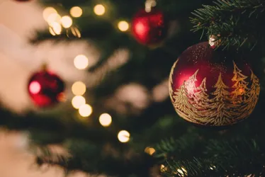 Imagem ilustrativa da imagem Votos de Natal: segure a onda