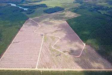 Imagem ilustrativa da imagem Zona Franca já atrai seis empresas em Aracruz