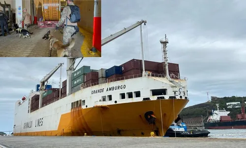 
          Imagem ilustrativa da imagem 14 cães ajudam a polícia a encontrar cocaína em navio
          