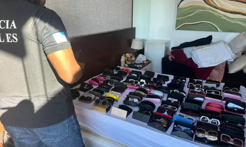 
          Imagem ilustrativa da imagem Acusada de golpes é presa com coleções em mansão
          