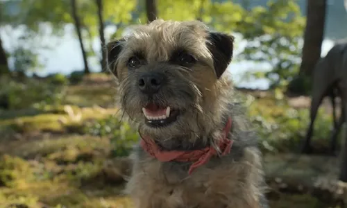 
          Imagem ilustrativa da imagem Armadilhas e crueldade no retorno de “Jogos Mortais”
          