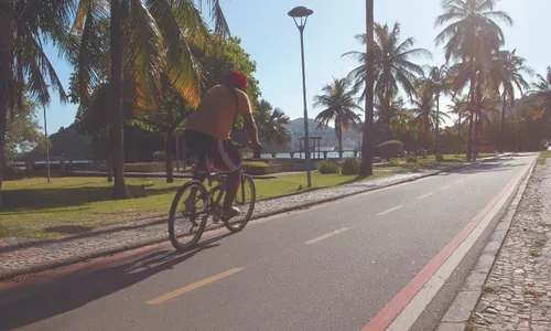 
          Imagem ilustrativa da imagem Bairros vão ganhar mais de 260 quilômetros de ciclovias
          