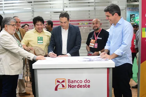 
          Imagem ilustrativa da imagem Banco do Nordeste libera financiamentos para produtores rurais durante Agrinordeste
          
