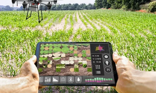 
          Imagem ilustrativa da imagem Brasil está na corrida pelo 6G
          