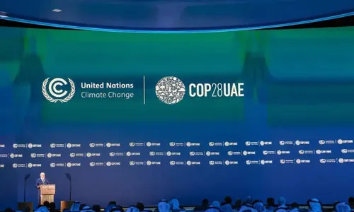 
          Imagem ilustrativa da imagem Brasil quer captar US$ 250 bi para financiar florestas em 80 países
          