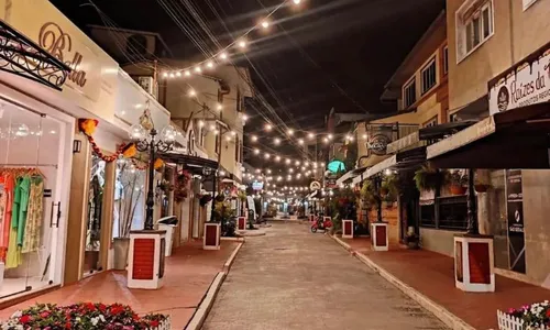 
          Imagem ilustrativa da imagem Brilho de Natal para 100 mil turistas em Domingos Martins
          