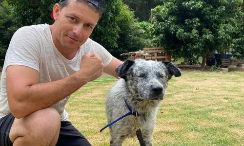 
          Imagem ilustrativa da imagem Cão que atacava pessoas no meio da rua será adestrado no Caparaó
          