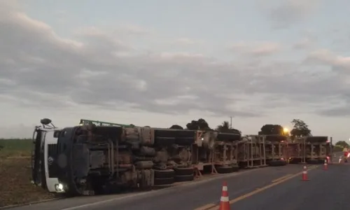 
          Imagem ilustrativa da imagem Carreta com eucaliptos tomba e interdita BR-101 no ES
          