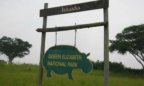 
          Imagem ilustrativa da imagem Casal de turistas e guia são mortos em safári na Uganda por terroristas
          