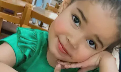 
          Imagem ilustrativa da imagem Caso Heloisa: Justiça pede nova perícia em armas de agentes da PRF
          