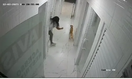 
          Imagem ilustrativa da imagem Caso Nala: imagens mostram como aconteceu fuga da cadela em clínica veterinária
          