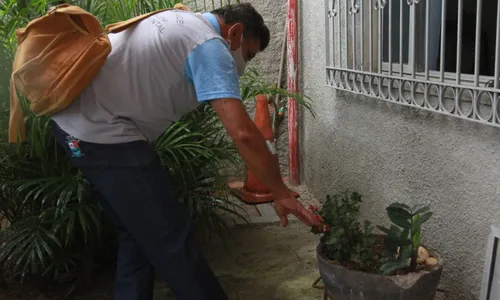 
          Imagem ilustrativa da imagem Casos de dengue aumentam 10 vezes este ano no ES
          