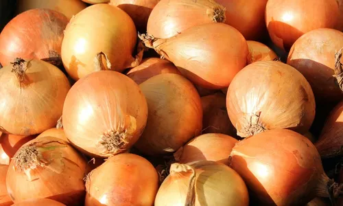 
          Imagem ilustrativa da imagem Cebola tem maior inflação para novembro desde o início do Plano Real
          