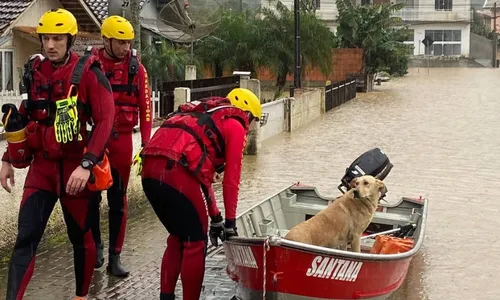
          Imagem ilustrativa da imagem Chuva intensa em Santa Catarina causa danos em mais de 130 cidades
          