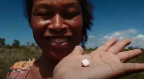 
          Imagem ilustrativa da imagem Coletores indígenas ajudam no reflorestamento e garantem renda extra no ES
          