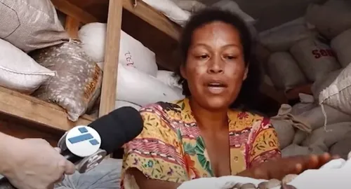 
          Imagem ilustrativa da imagem Coletores indígenas ajudam no reflorestamento e garantem renda extra no ES
          