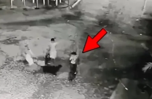 
          Imagem ilustrativa da imagem Criança de 11 anos é atacada por cão Rottweiler
          