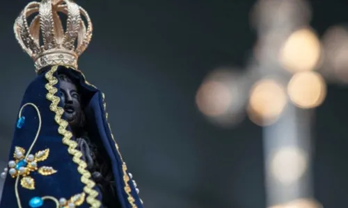 
          Imagem ilustrativa da imagem Curiosidades sobre Nossa Senhora Aparecida em livro
          