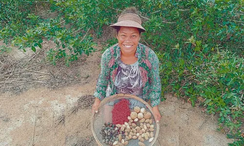 
          Imagem ilustrativa da imagem Das matas de Aracruz às vitrines de luxo do País
          
