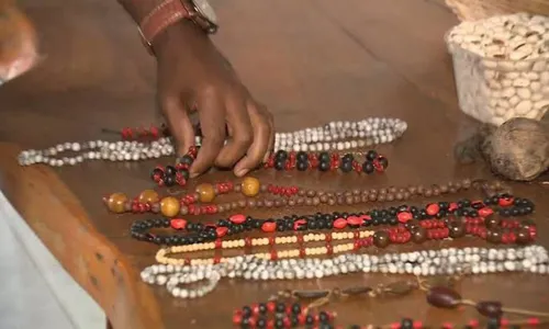 
          Imagem ilustrativa da imagem Das matas de Aracruz às vitrines de luxo do País
          