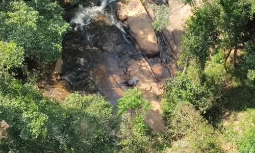 
          Imagem ilustrativa da imagem Delegado aposentado que estava desaparecido há 2 dias é encontrado no ES
          