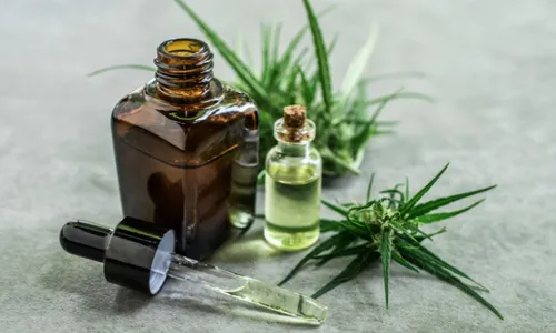 
          Imagem ilustrativa da imagem Deputados do ES aprovam acesso gratuito de pacientes a remédios à base de cannabis
          