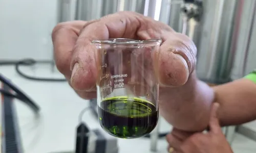 
          Imagem ilustrativa da imagem Descarte de abacate vira azeite de sucesso
          