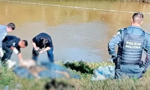 
          Imagem ilustrativa da imagem Dois suspeitos de matar e decapitar homem em Domingos Martins são presos
          