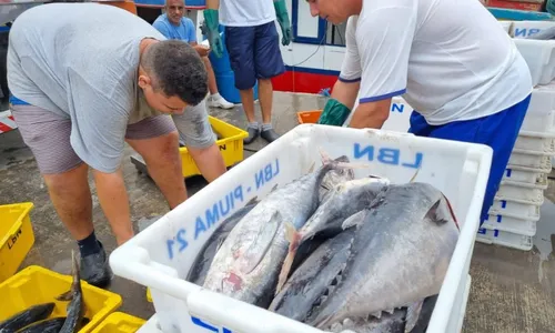 
          Imagem ilustrativa da imagem ES tem a maior processadora de atum da América Latina
          