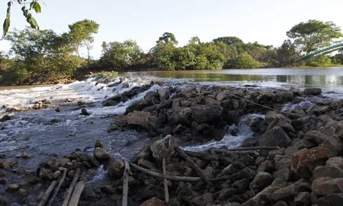 
          Imagem ilustrativa da imagem Economia de água para não faltar no verão
          