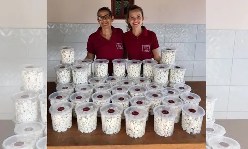 
          Imagem ilustrativa da imagem Empresária deixa a indústria para trabalhar com a mãe: “Aqui me faz mais feliz”
          