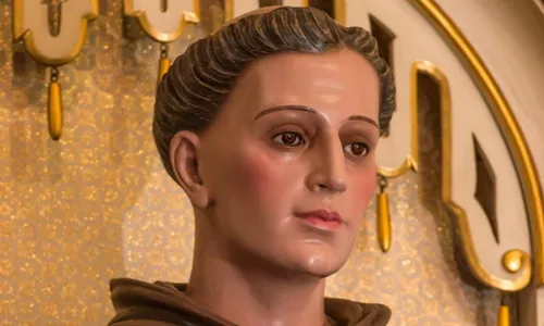 
          Imagem ilustrativa da imagem Festa para São Frei Galvão!
          