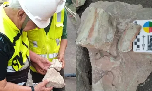 
          Imagem ilustrativa da imagem Fóssil com 65 milhões de anos é encontrado em obra de rodovia em MG
          