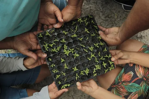 
          Imagem ilustrativa da imagem Governo do Estado coloca no ar hotsite do Plano de Mudança Econômico-Ecológica
          