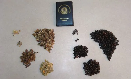 
          Imagem ilustrativa da imagem Governo recolhe 8 lotes de café por fraude e impurezas. Veja marcas
          