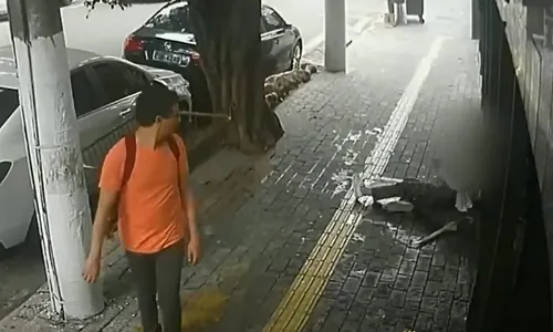 
          Imagem ilustrativa da imagem Homem é indiciado após derrubar idosa de 86 anos e não prestar socorro em SP
          