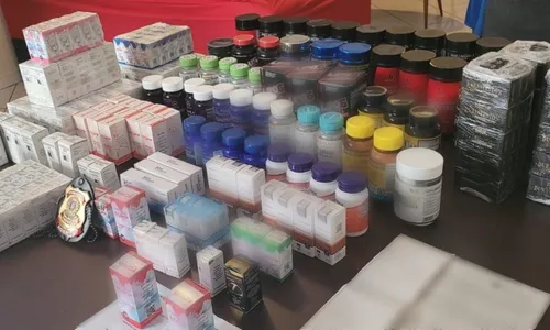 
          Imagem ilustrativa da imagem Homem é preso com 250 frascos de anabolizantes em Vitória
          