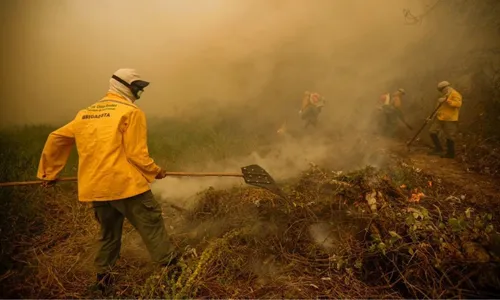 
          Imagem ilustrativa da imagem Incêndio atinge há um mês reserva amazônica no Amapá
          