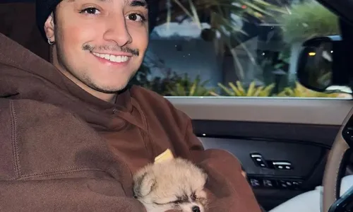 
          Imagem ilustrativa da imagem Influenciador descobre que cachorro foi atropelado durante transmissão ao vivo
          