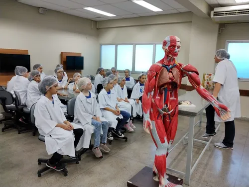 
          Imagem ilustrativa da imagem Inscrições para mais de 30 cursos de graduação
          