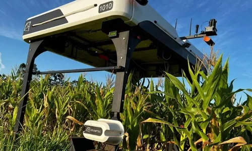 
          Imagem ilustrativa da imagem Inteligência artificial chega às fazendas
          